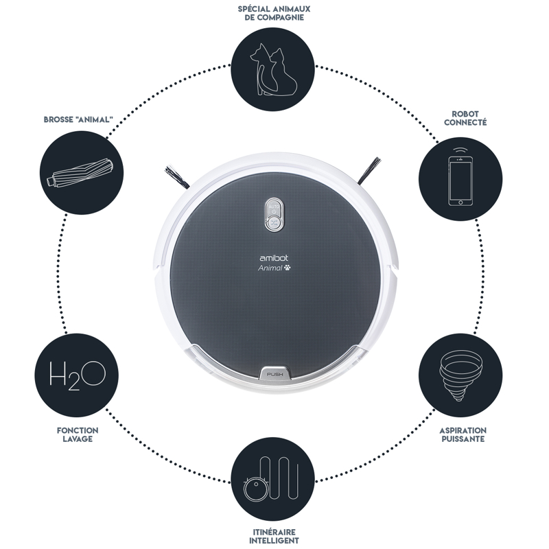 amibot animal présentation